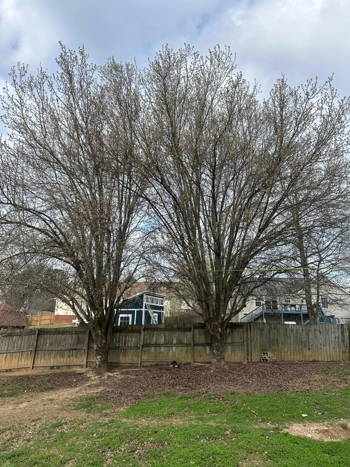 Recent Cleanup Work 4