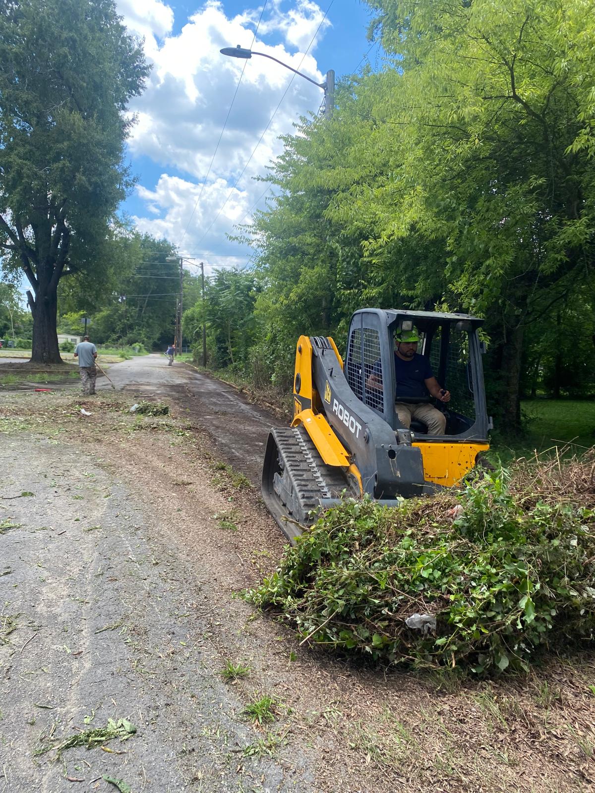 Trimming & Maintenance