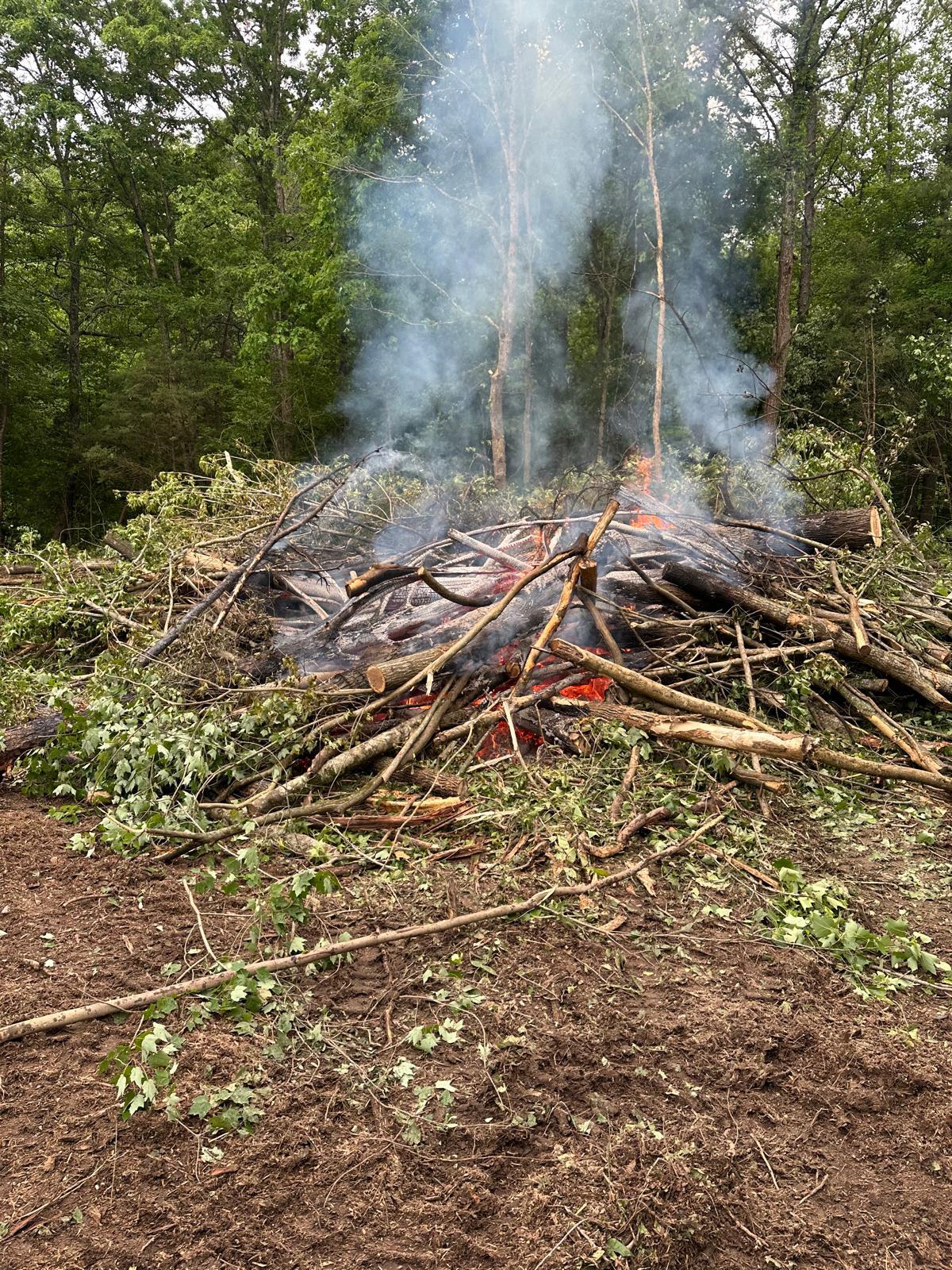 Residential Trimming
