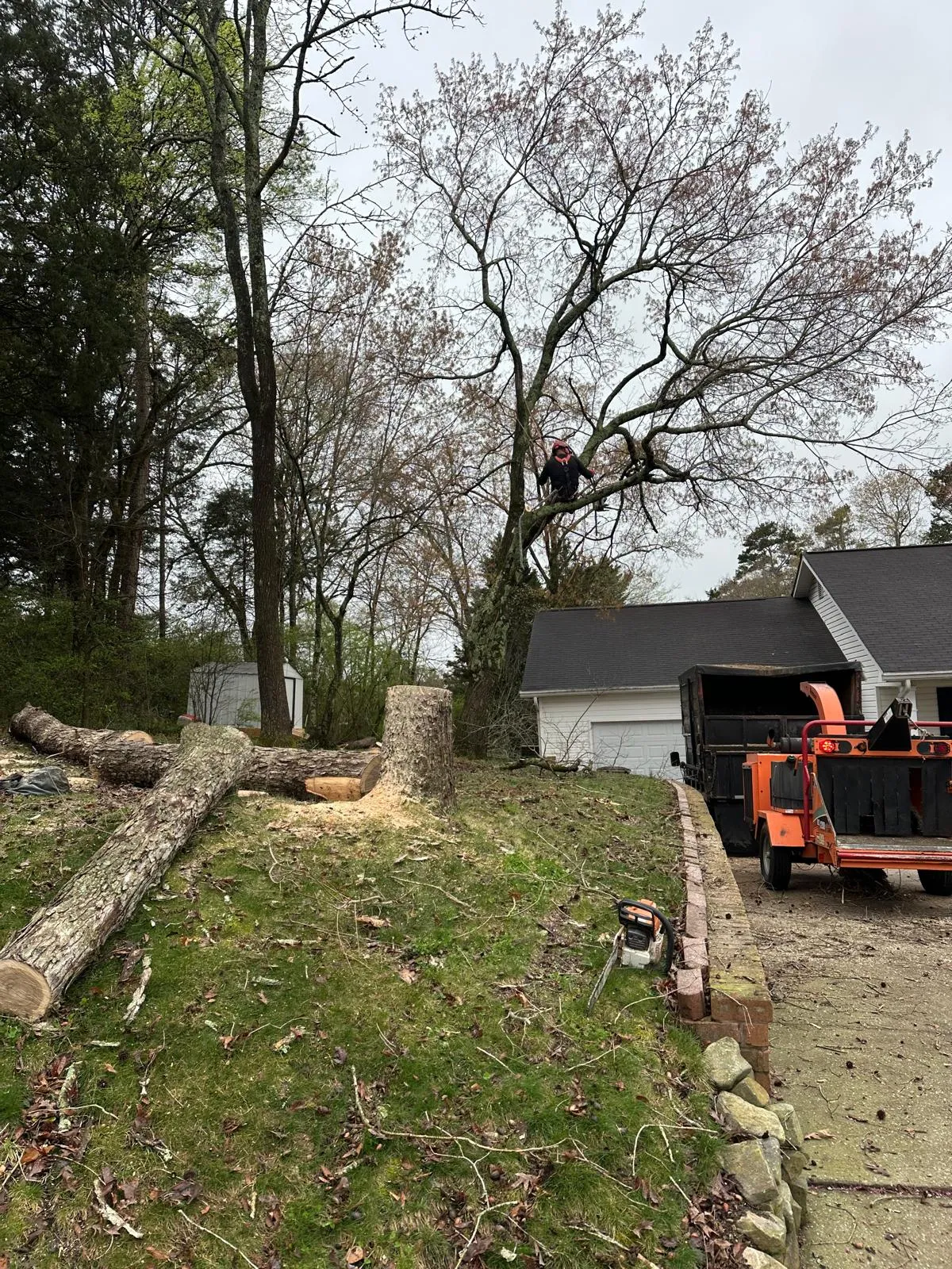 Recent Trimming Work 3