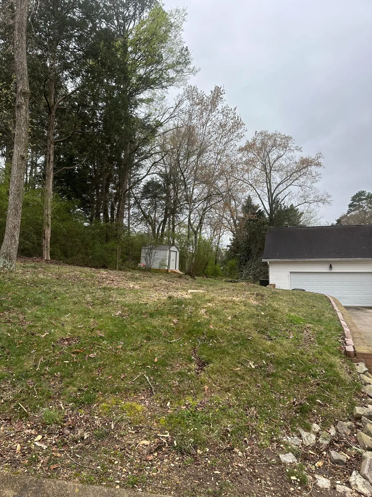 Recent Trimming Work 4